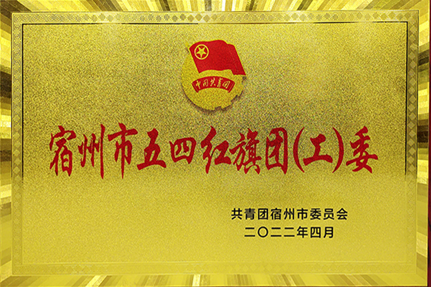2022.4宿州市五四红旗团（工）委