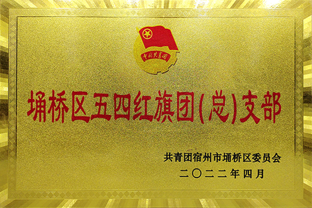埇桥区五四红旗团（总）支部
