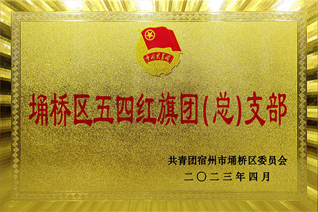 埇桥区五四红旗团（总）支部