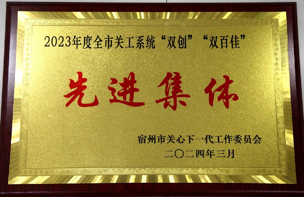 2023年度全市关工系统“双创”“双百佳”先进集体