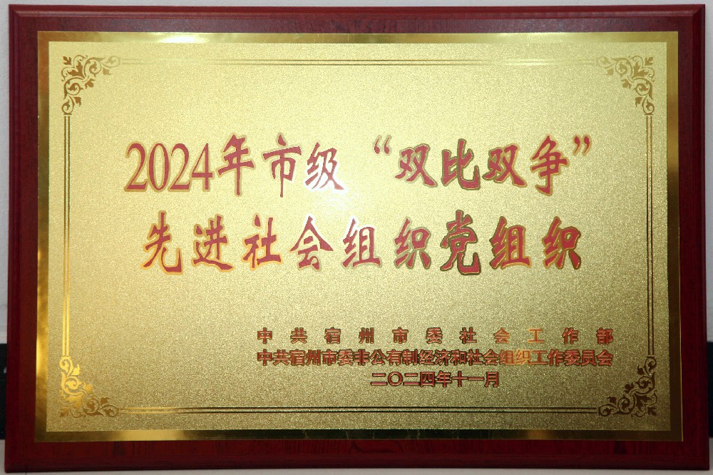 2024年市级“双比双争先进社会组织党组织